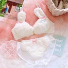 Winter Fluffy Bear Cat Panda Cute Women's Bra & Panties Set Wirefree Underwear