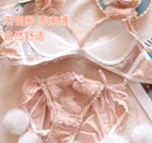 Winter Fluffy Bear Cat Panda Cute Women's Bra & Panties Set Wirefree Underwear